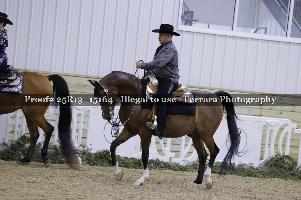 Proof 25R13_15164