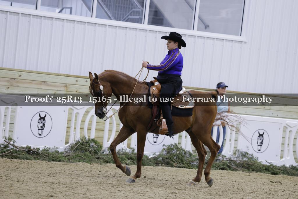 Proof 25R13_15165