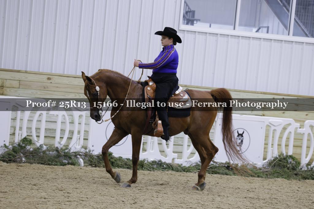 Proof 25R13_15166