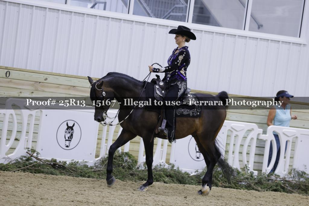 Proof 25R13_15167