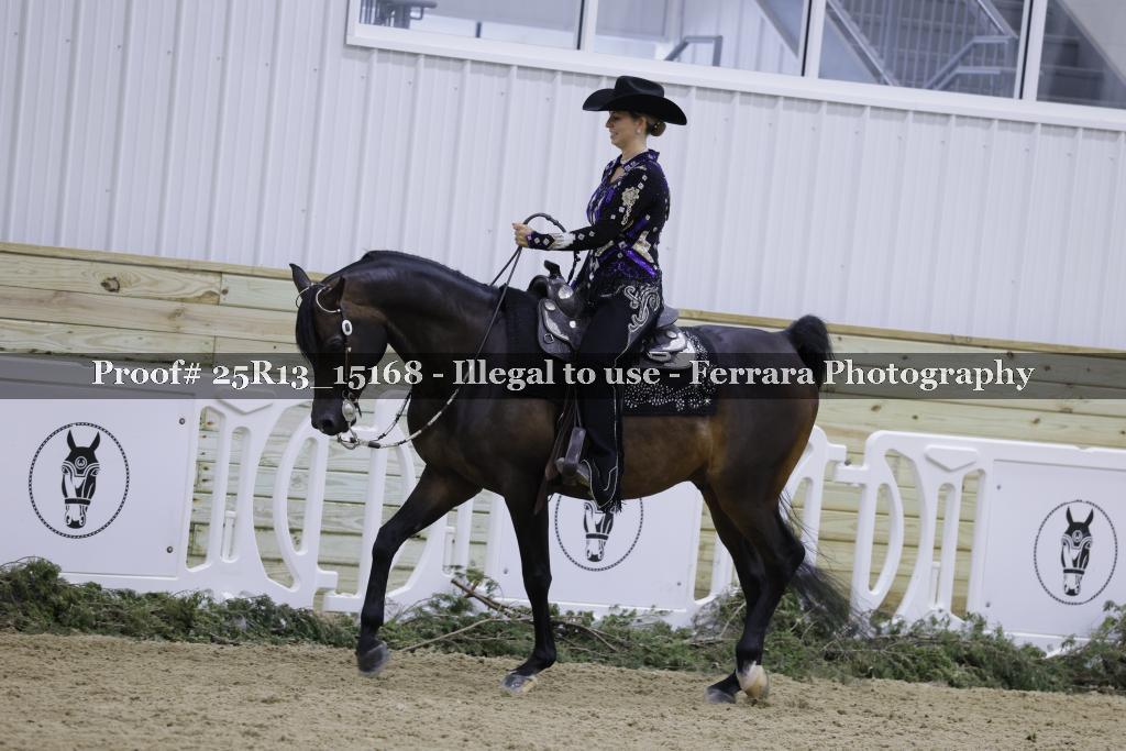 Proof 25R13_15168
