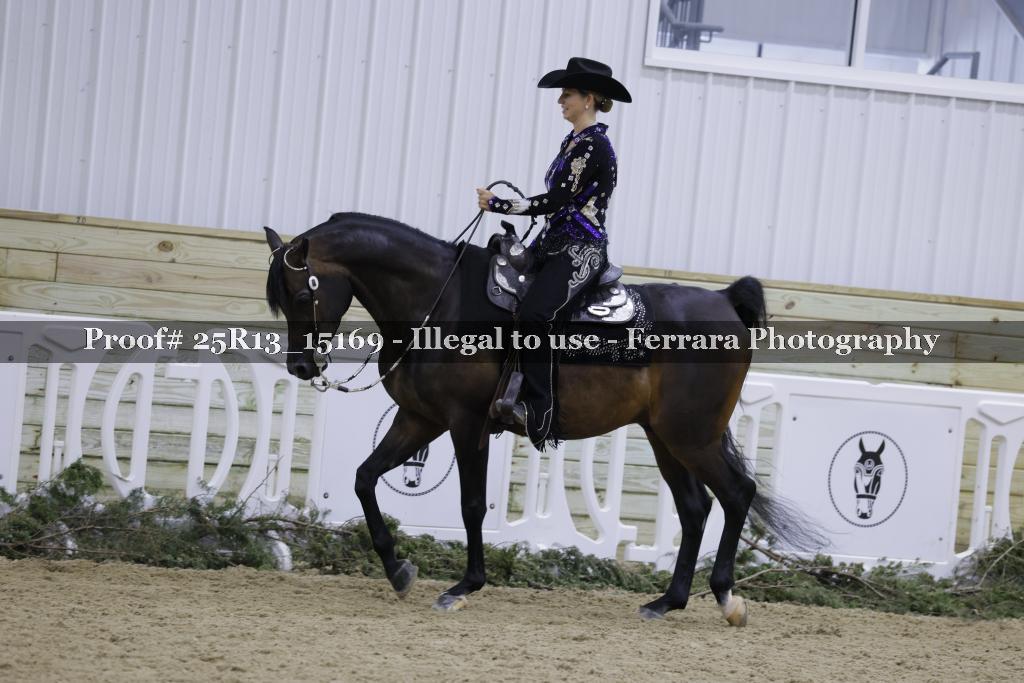 Proof 25R13_15169