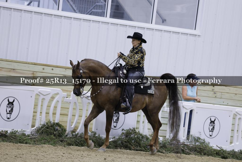 Proof 25R13_15170