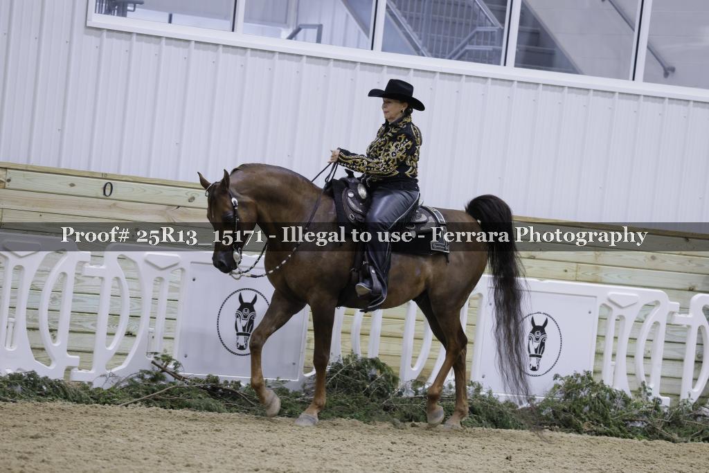 Proof 25R13_15171