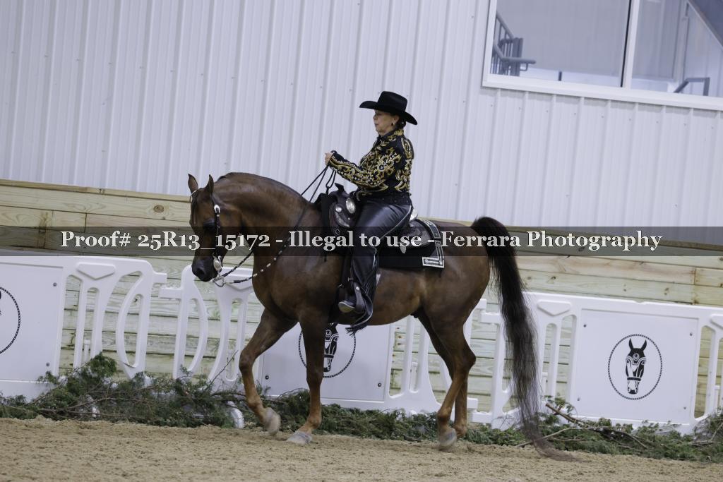 Proof 25R13_15172
