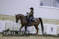 25R13_15172 proof