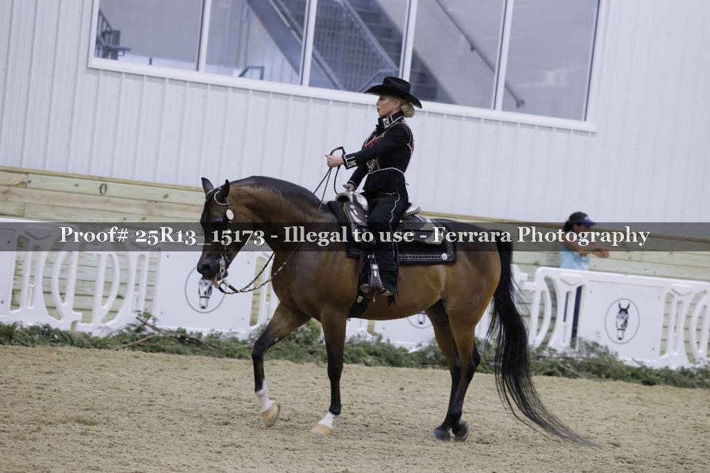 Proof 25R13_15173