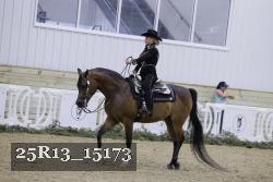 25R13_15173 proof