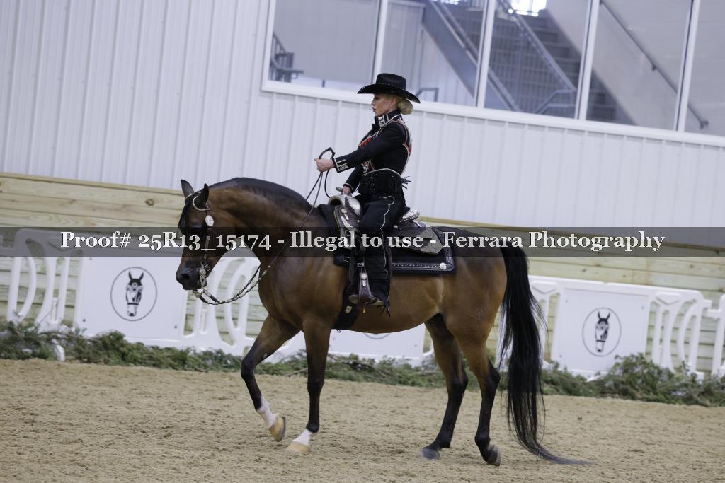 Proof 25R13_15174