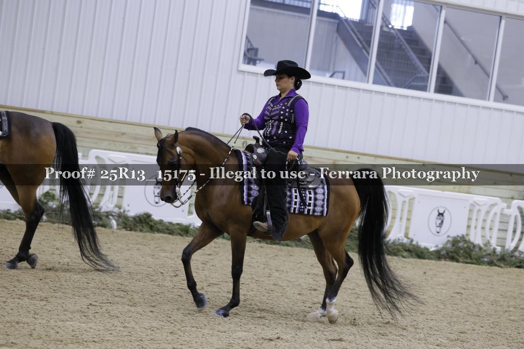 Proof 25R13_15175