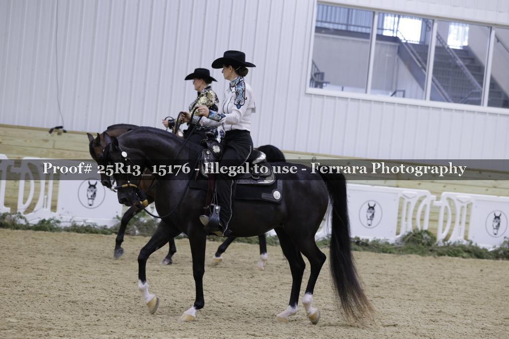 Proof 25R13_15176