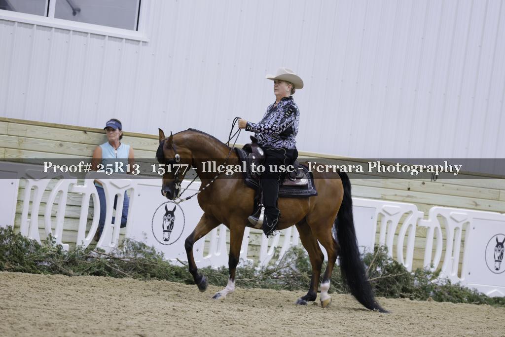 Proof 25R13_15177