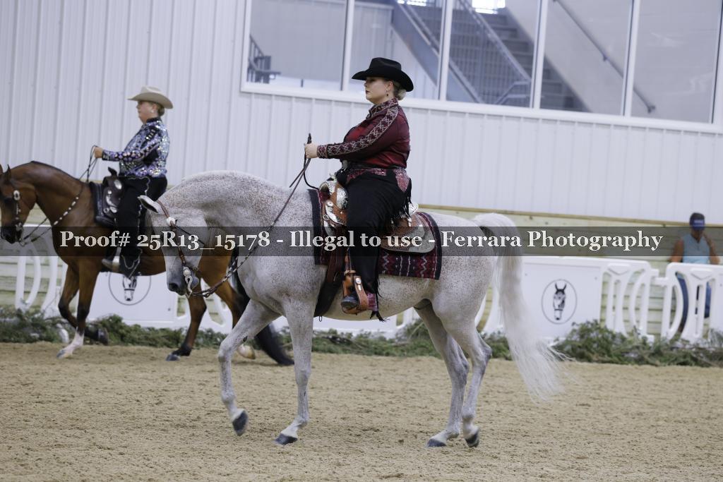 Proof 25R13_15178