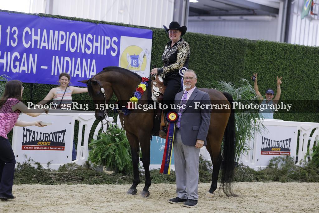 Proof 25R13_15191