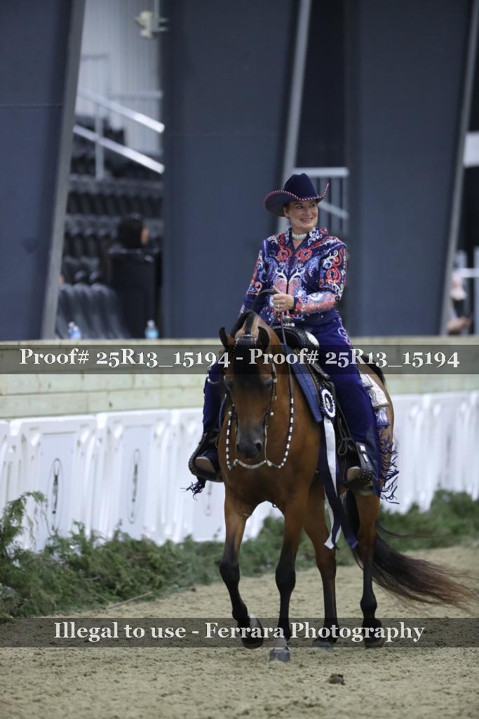 Proof 25R13_15194