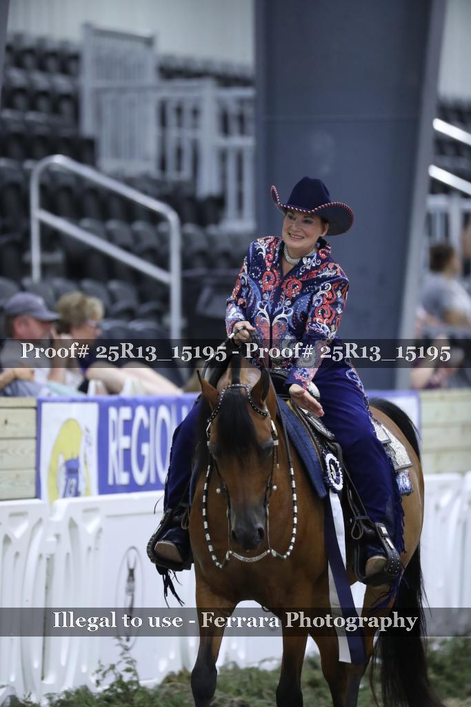 Proof 25R13_15195