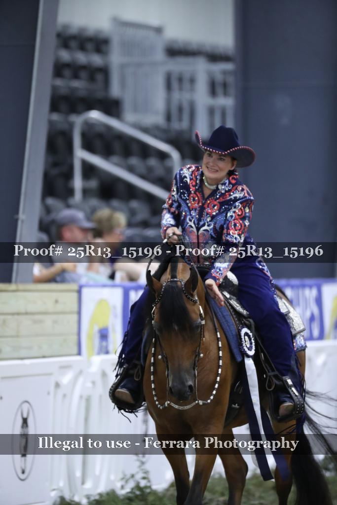 Proof 25R13_15196