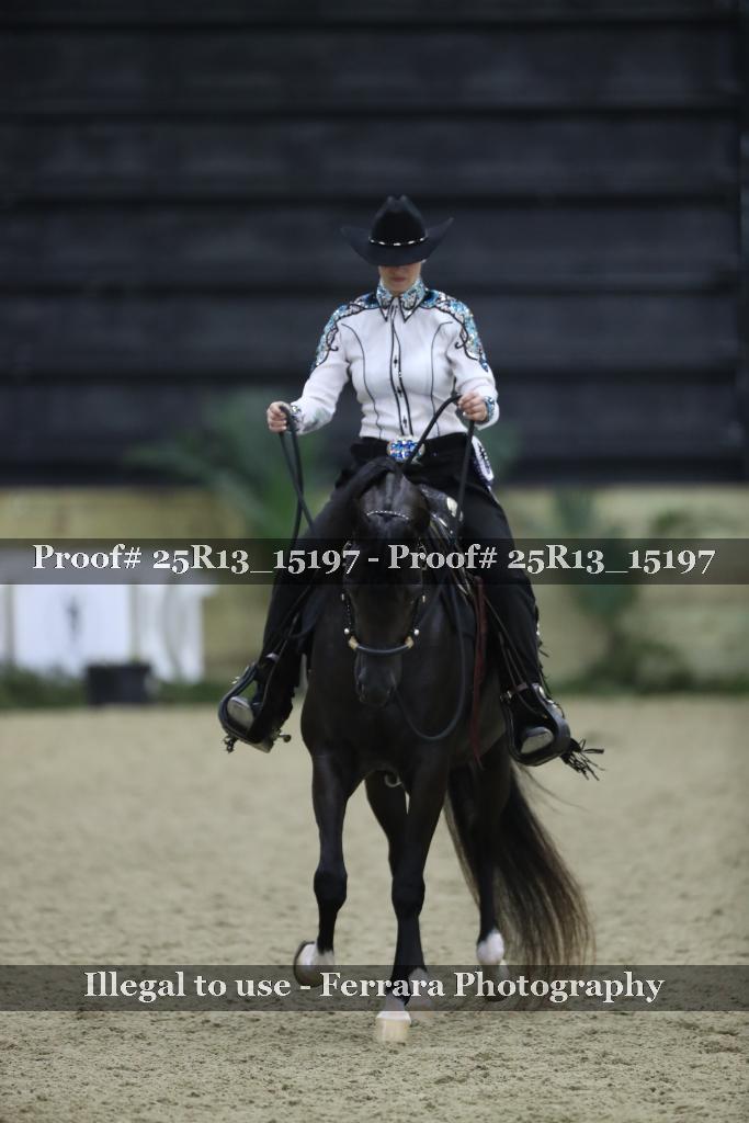 Proof 25R13_15197