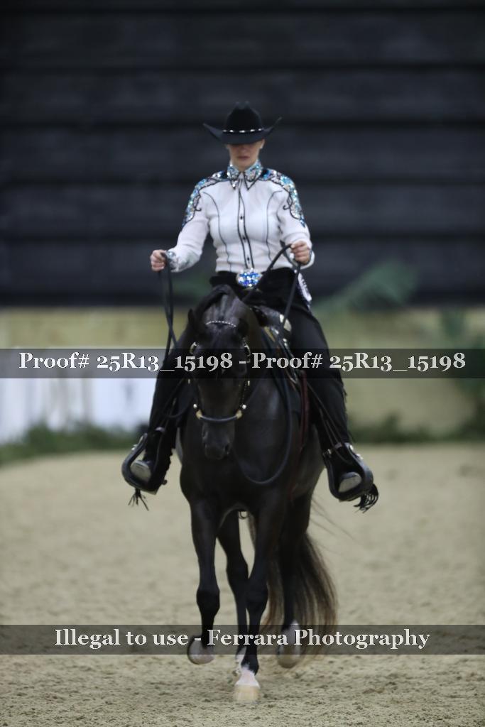 Proof 25R13_15198