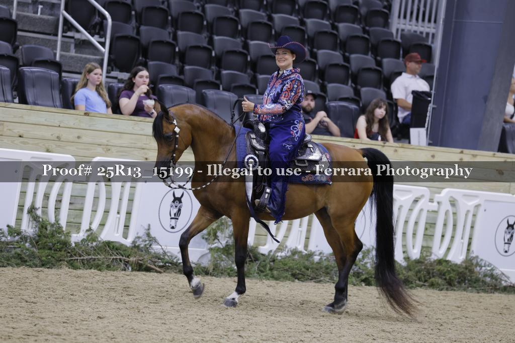 Proof 25R13_15199