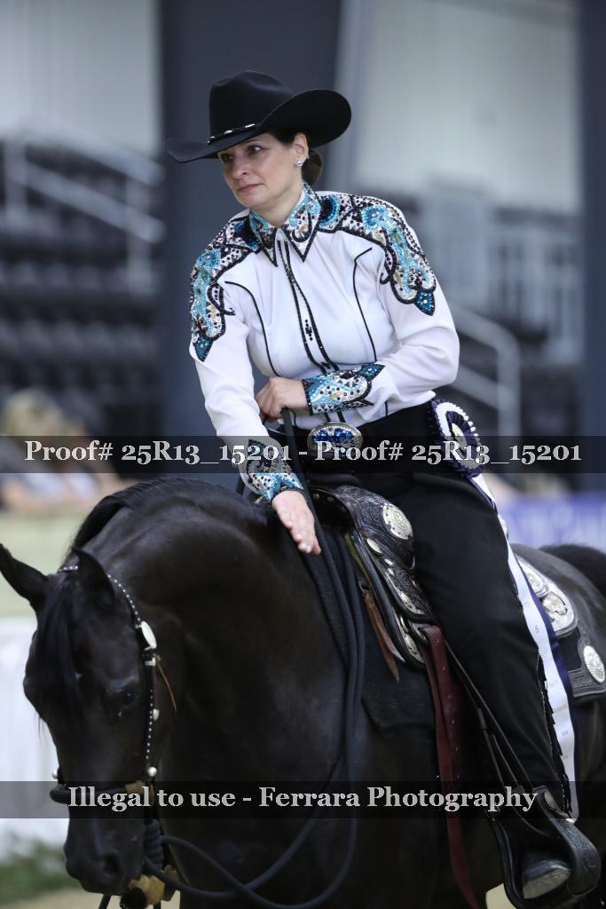 Proof 25R13_15201