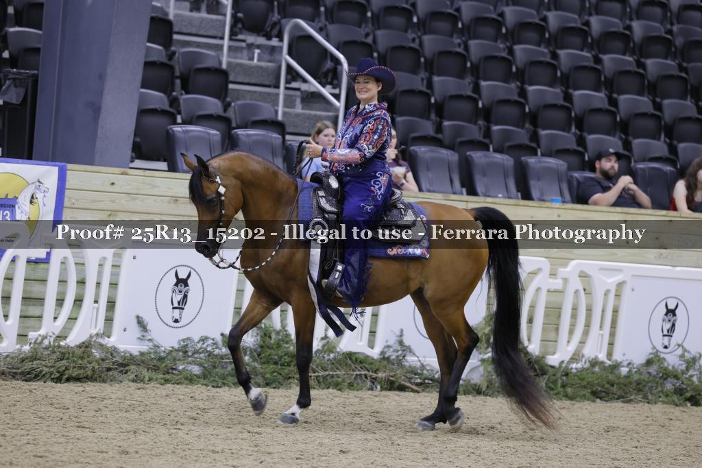 Proof 25R13_15202