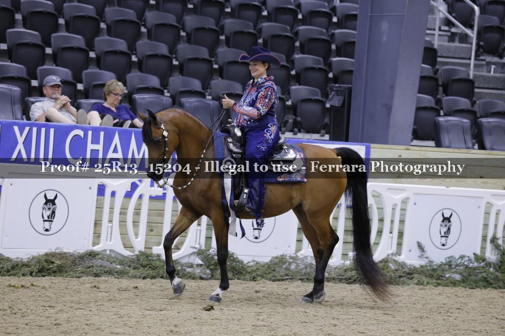Proof 25R13_15204