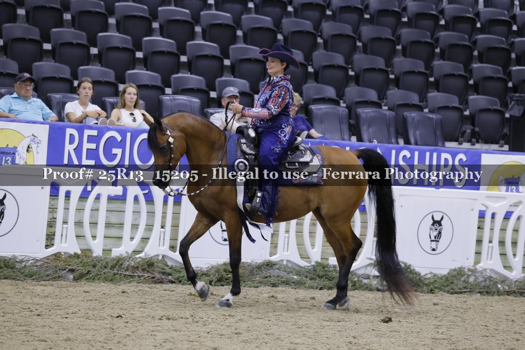Proof 25R13_15205