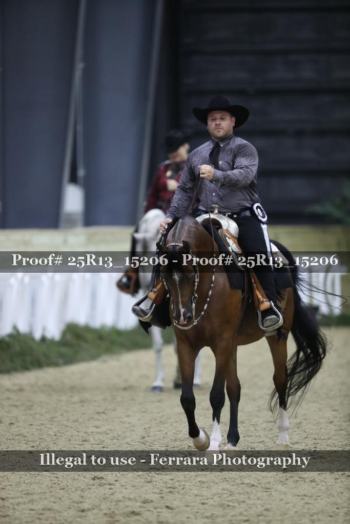Proof 25R13_15206