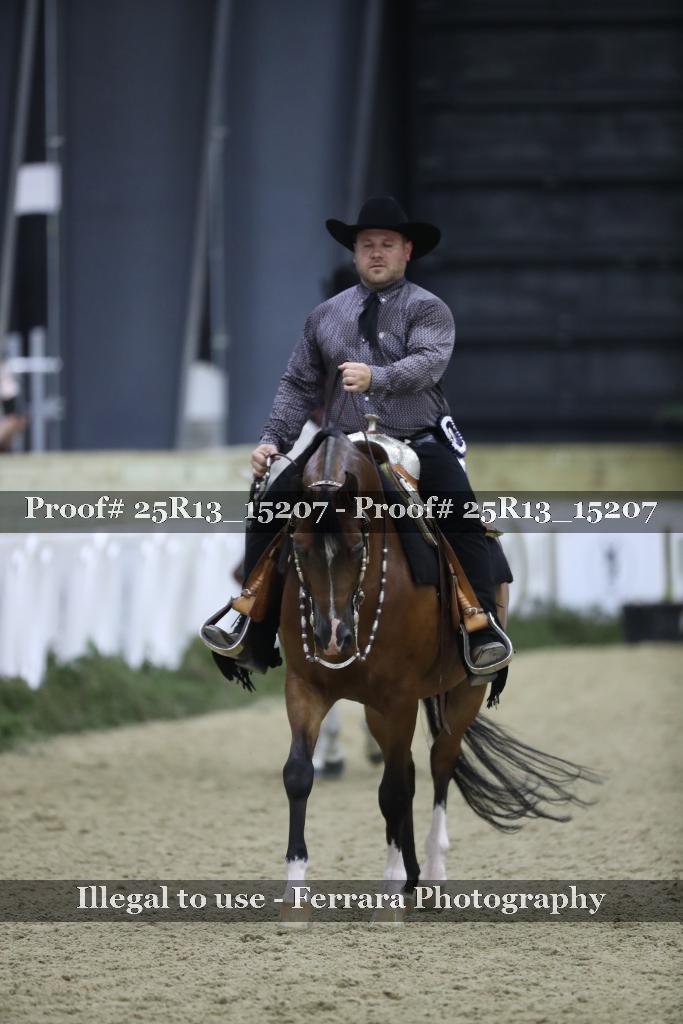 Proof 25R13_15207