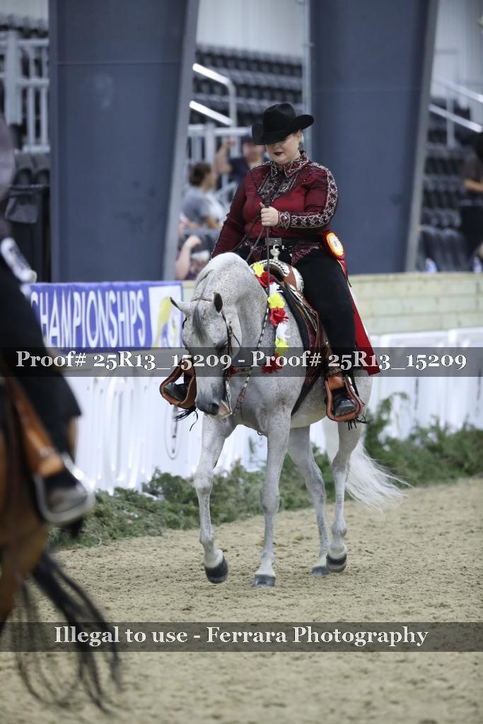 Proof 25R13_15209