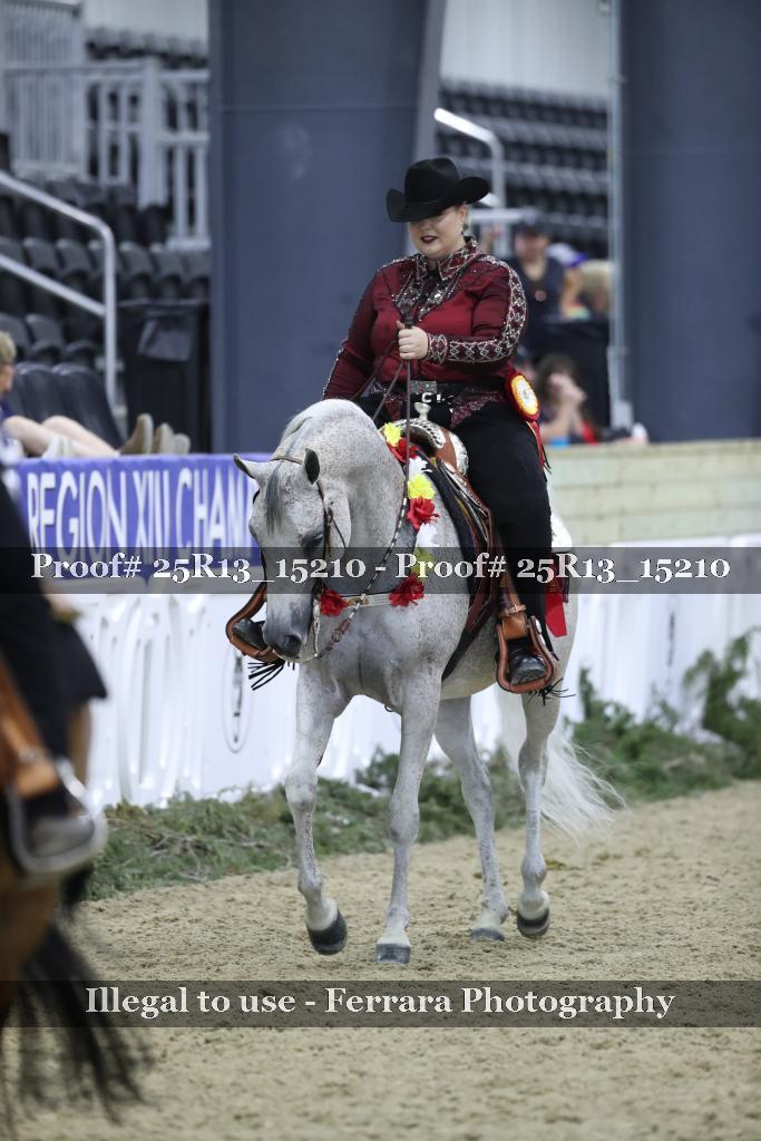Proof 25R13_15210