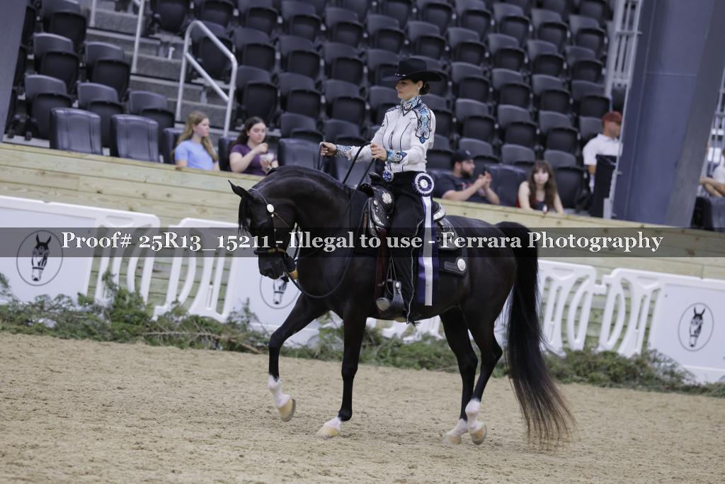 Proof 25R13_15211