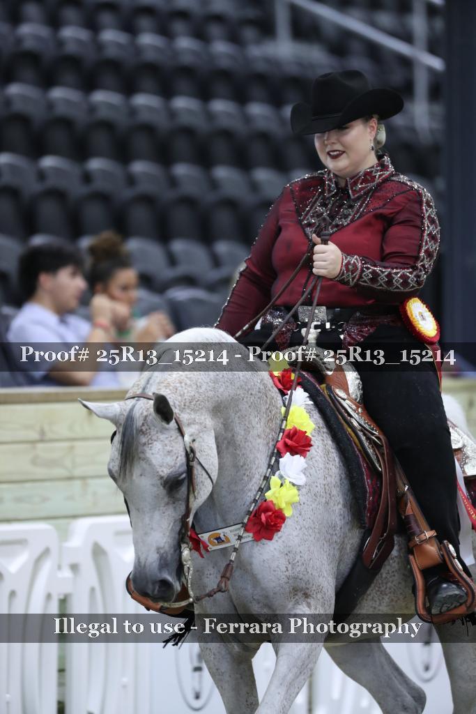 Proof 25R13_15214