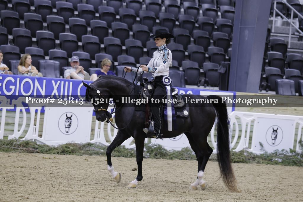 Proof 25R13_15215