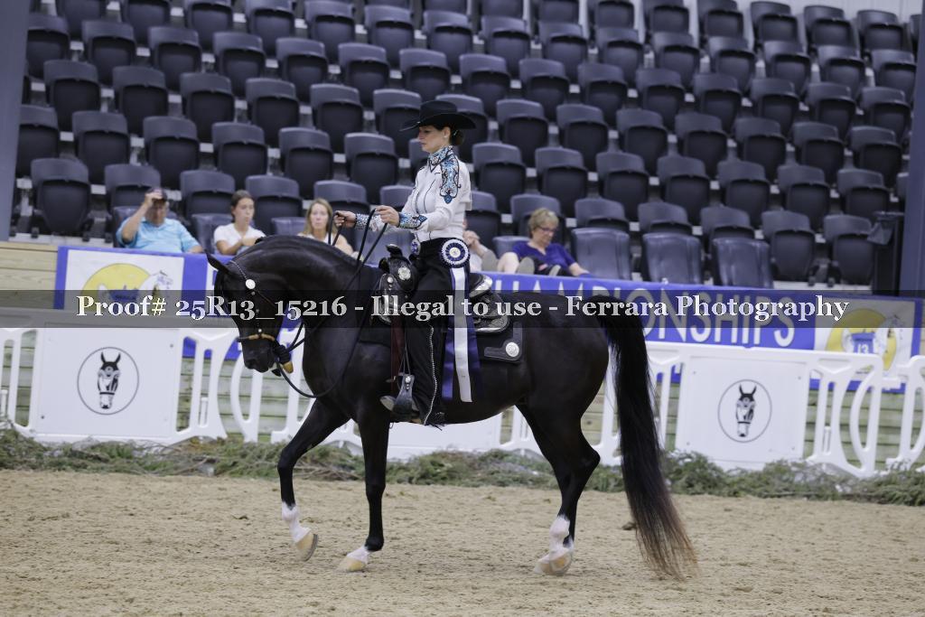 Proof 25R13_15216
