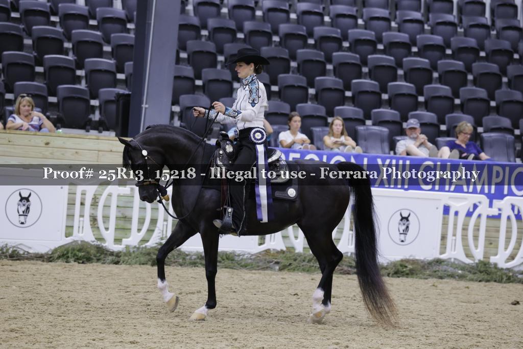 Proof 25R13_15218