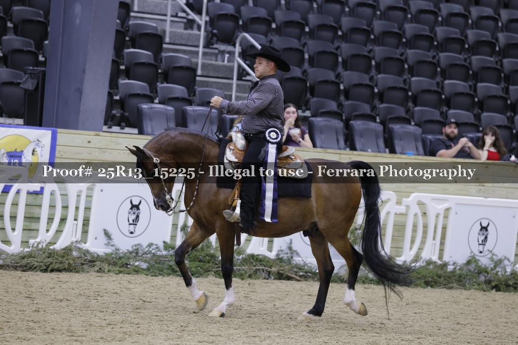 Proof 25R13_15225