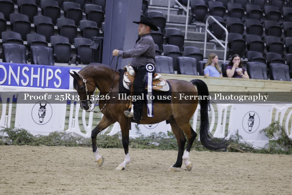Proof 25R13_15226