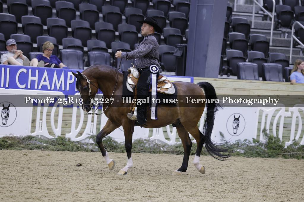 Proof 25R13_15227