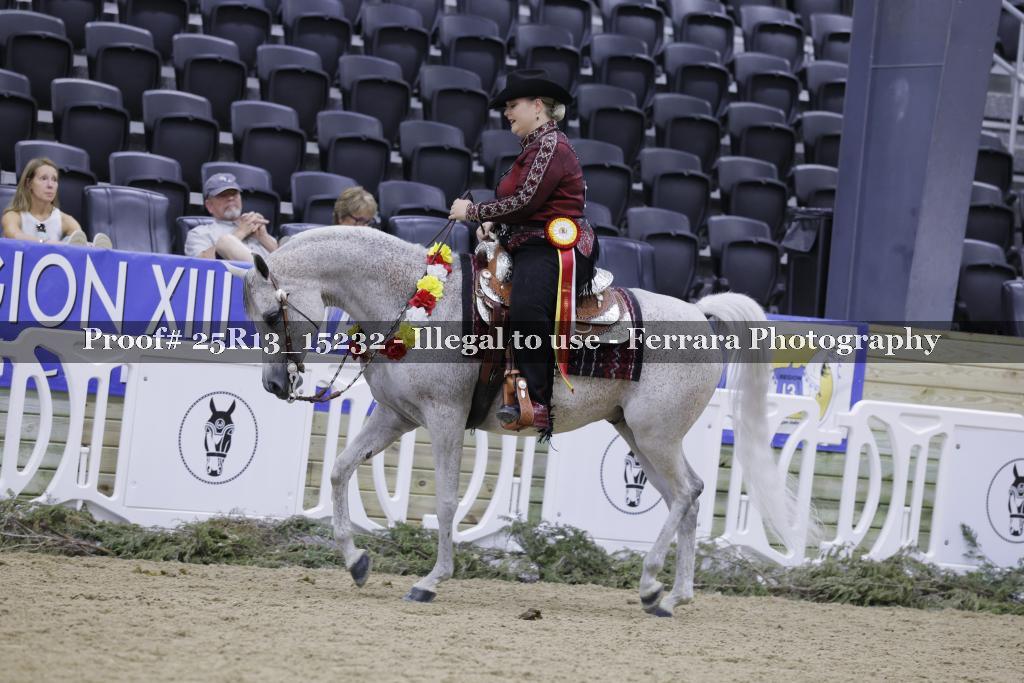 Proof 25R13_15232