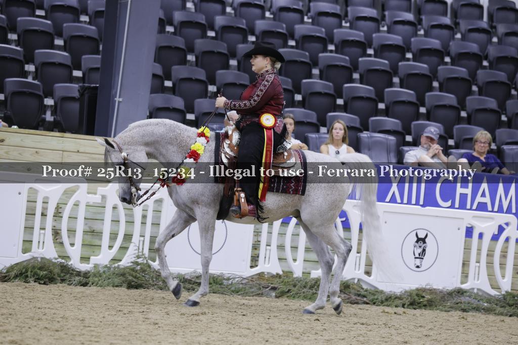 Proof 25R13_15234