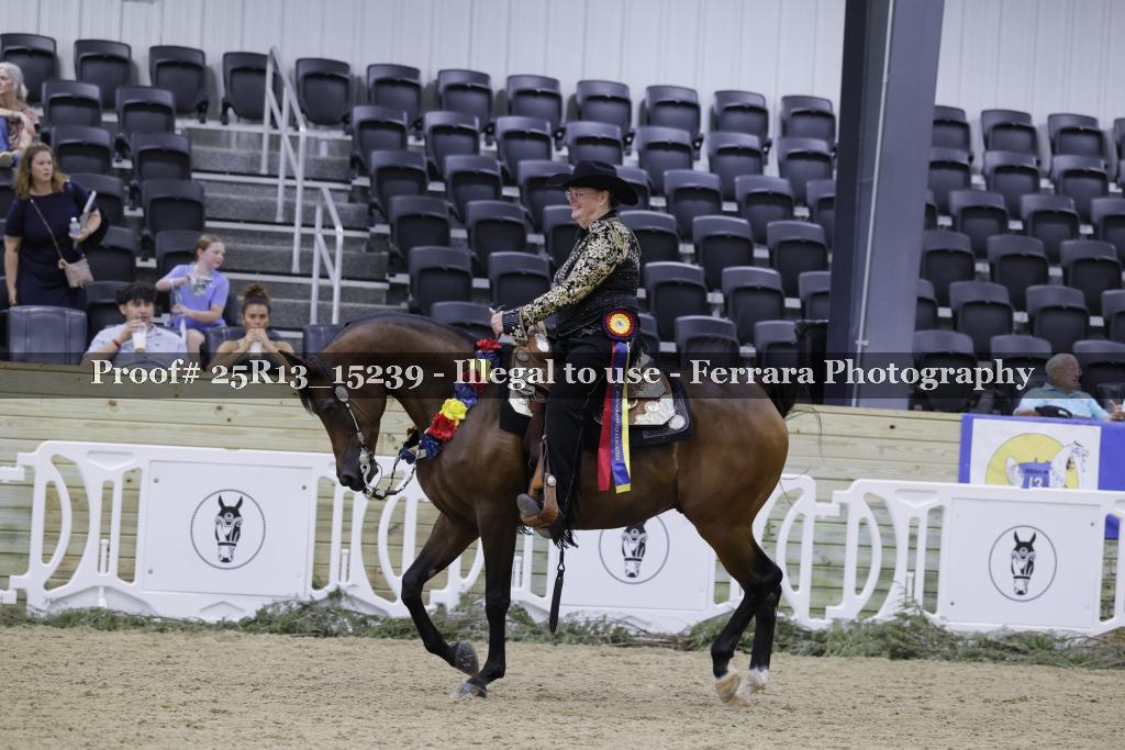 Proof 25R13_15239