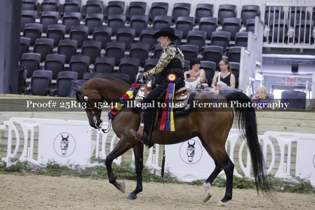 Proof 25R13_15241