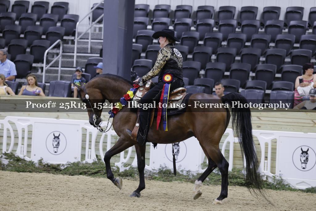 Proof 25R13_15242