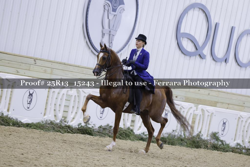 Proof 25R13_15243