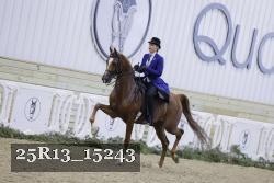 25R13_15243 proof