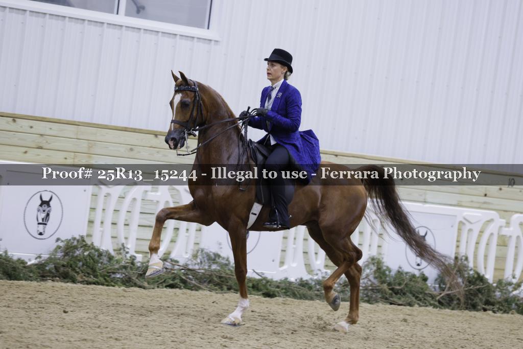 Proof 25R13_15244
