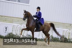 25R13_15244 proof
