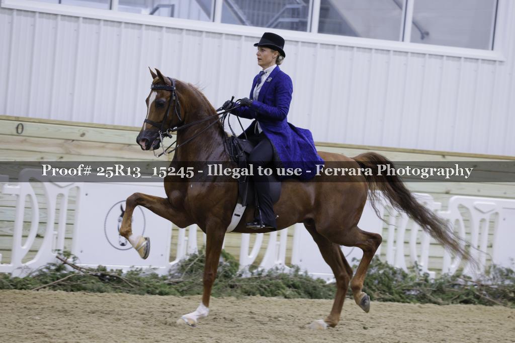 Proof 25R13_15245